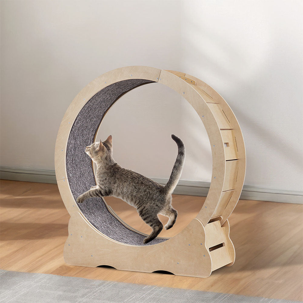 Cat Exercise Wheel_5