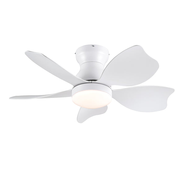 30-Inch Ceiling Fan Lighting for Small Kid's Room_0