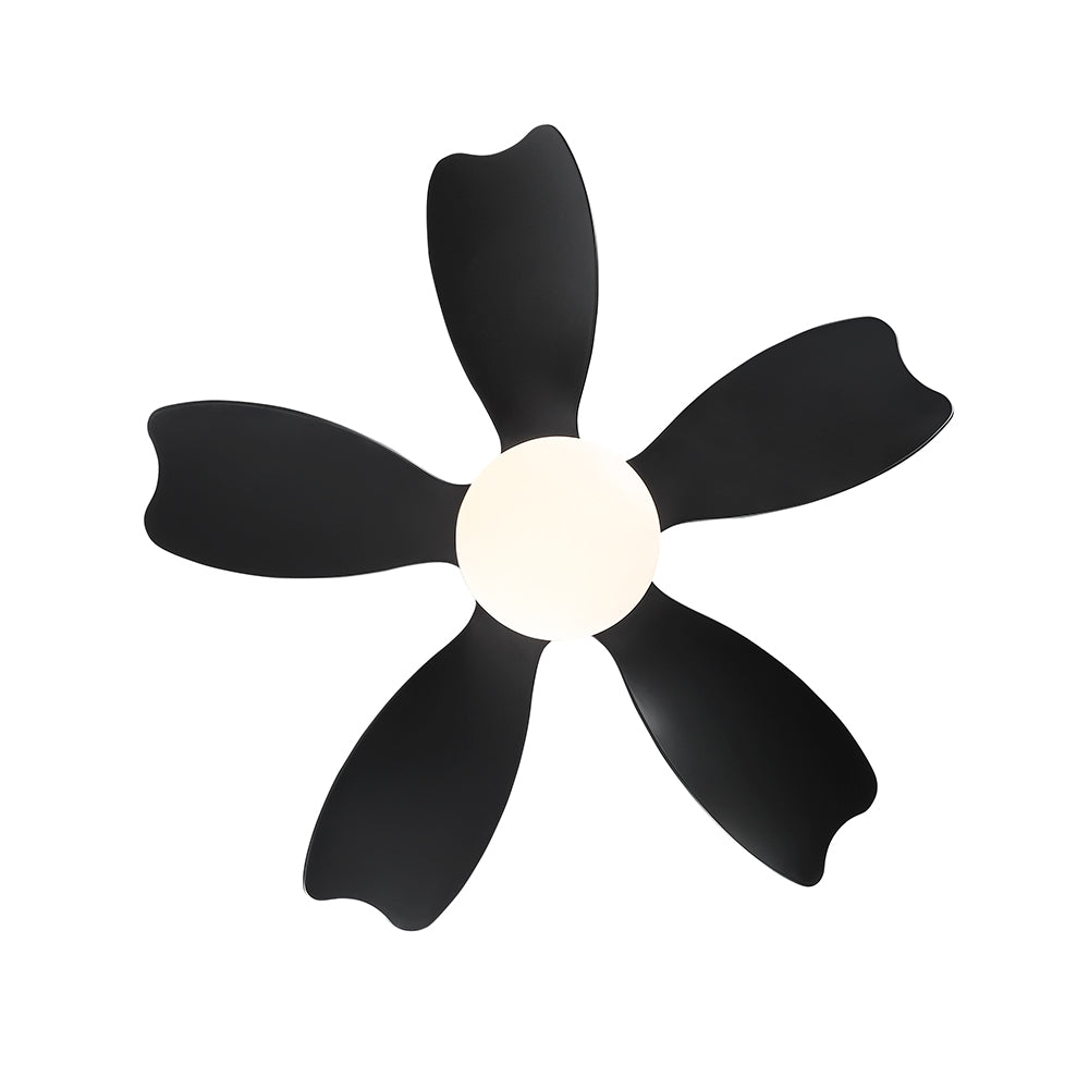 30-Inch Ceiling Fan Lighting for Small Children Room - Black_1