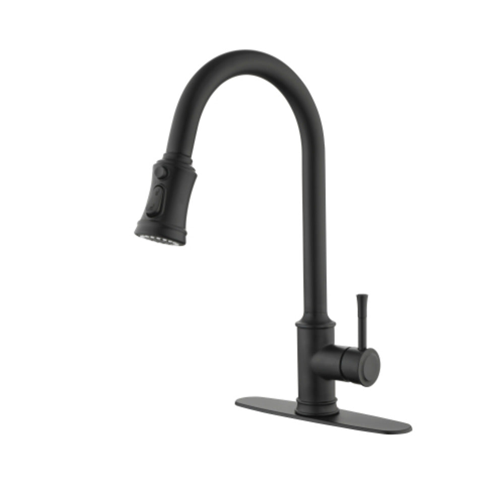 High Arc Single Handle Pull Out Kitchen Faucet Stainless Steel with Pull Down Sprayer_1