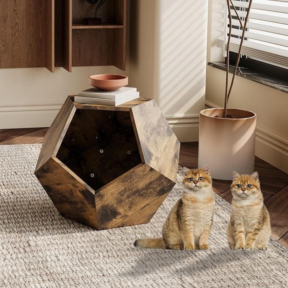 Modern Cat Kennel Side Table_3