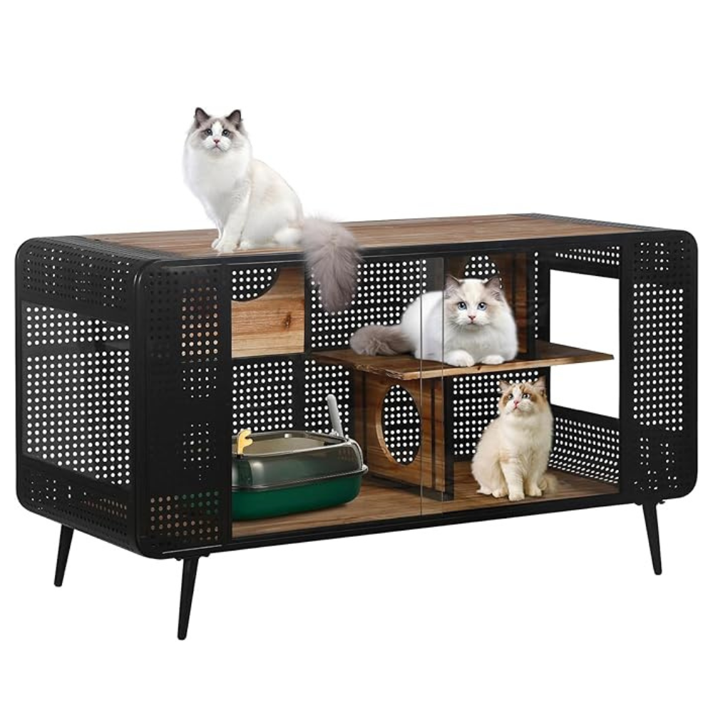 Stylish and Functional Cat House with Tempered Glass_4